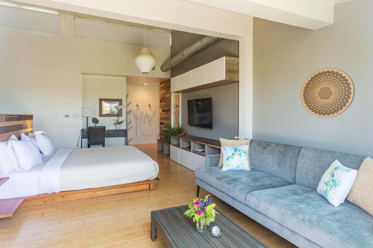 Inn At Moonlight Beach 엔시니타스 외부 사진